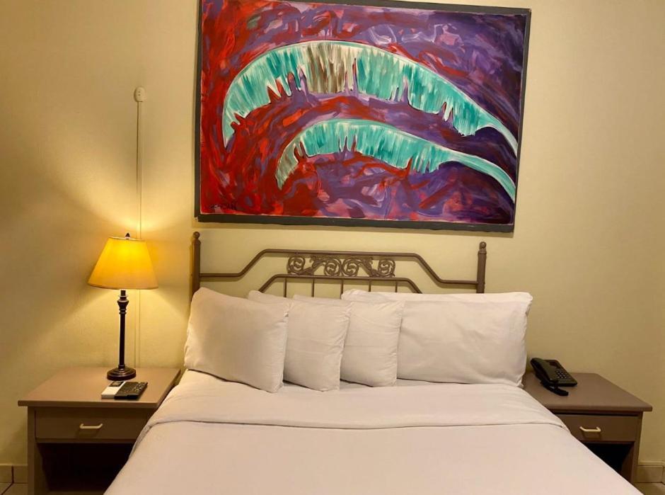 Morrison Hotel San Salvador Extérieur photo